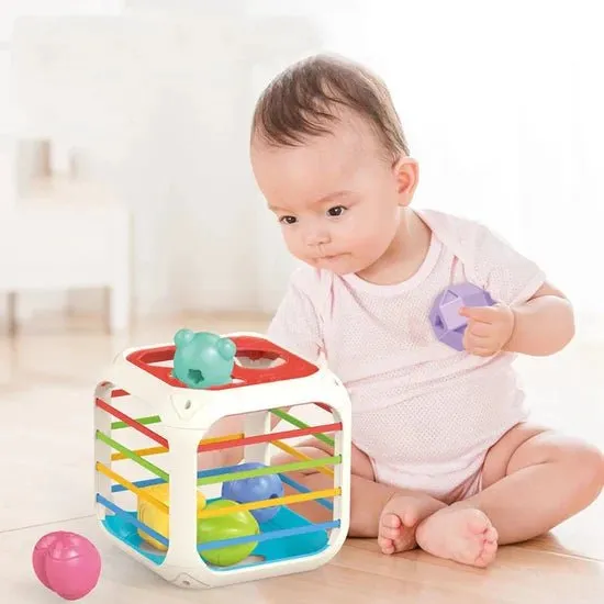 2 in 1 Shape Stacking and Sorting Box