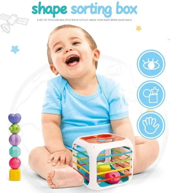 2 in 1 Shape Stacking and Sorting Box