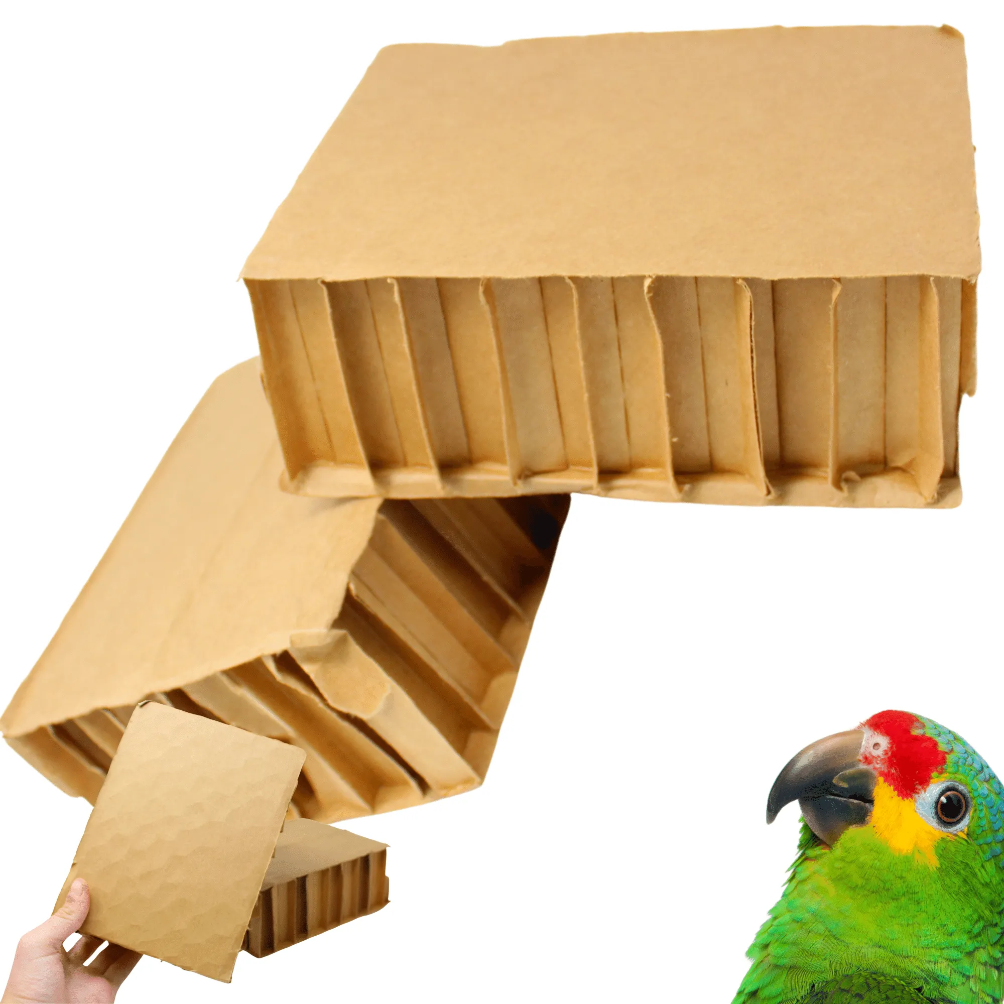 2292 Pk2 Jumbo 8-Inch Cardboard Blocks