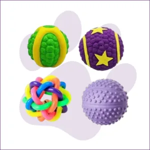 4 Attractive Squeaky Toys Combo