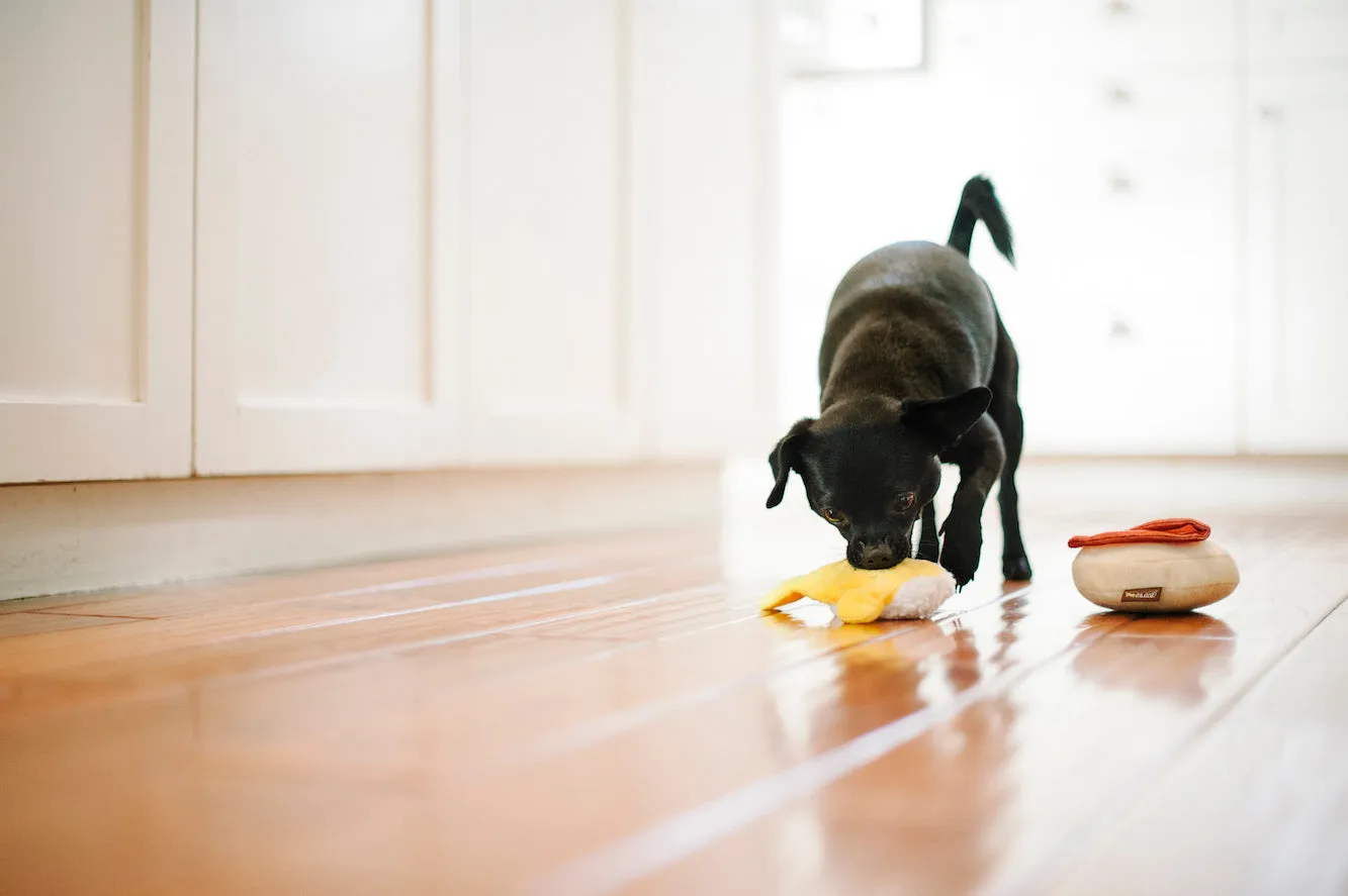 Barking Brunch Toy Set