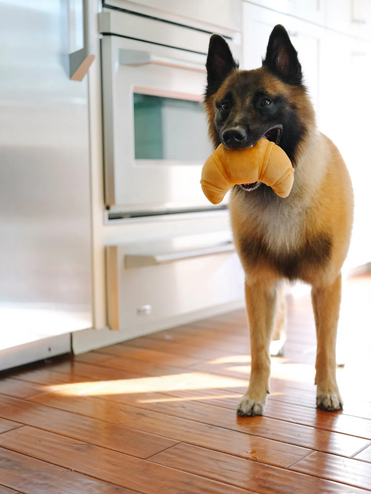 Barking Brunch Toy Set