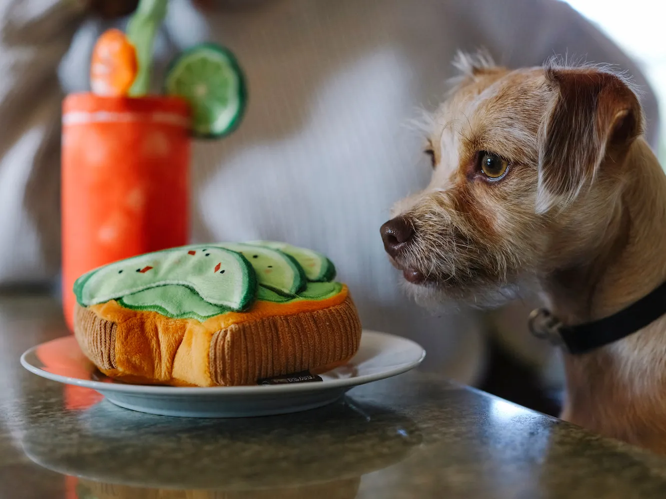 Barking Brunch Toy Set