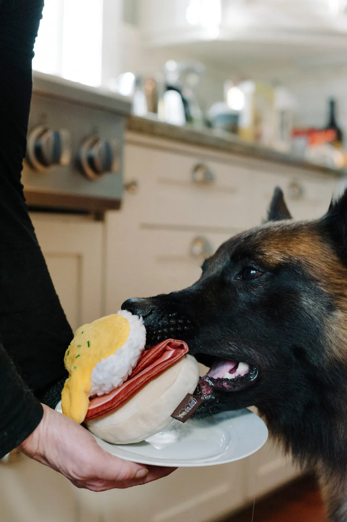 Barking Brunch Toy Set