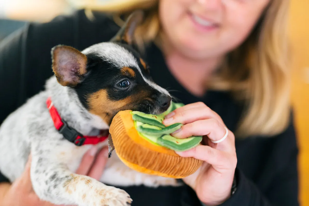 Barking Brunch Toy Set