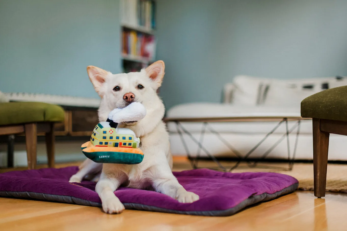 Canine Commute Toy Set