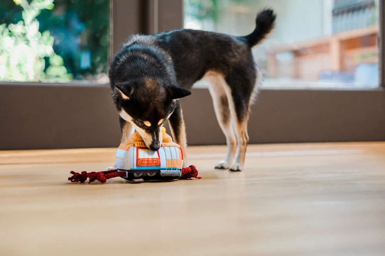 Canine Commute Toy Set