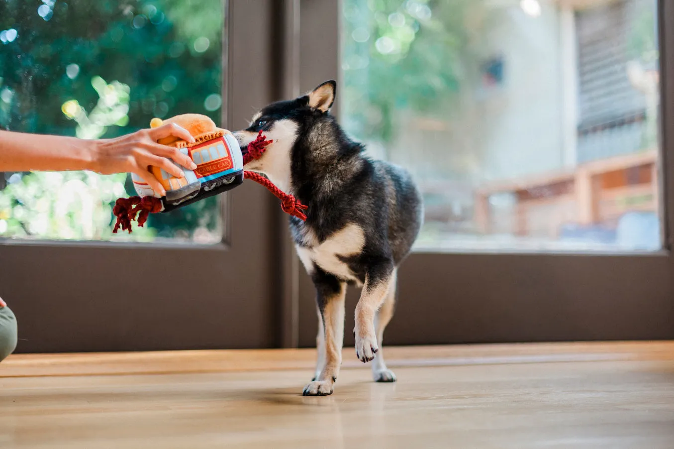 Canine Commute Toy Set