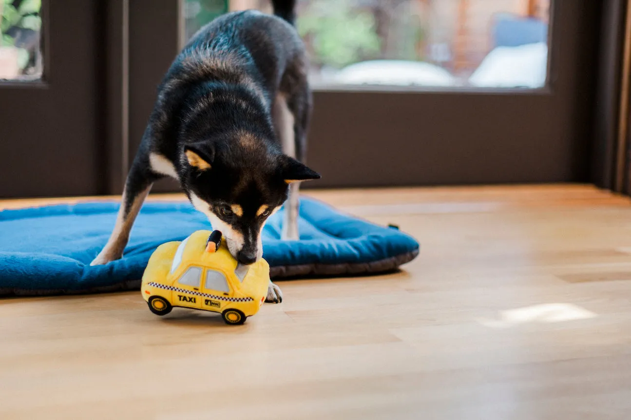 Canine Commute Toy Set