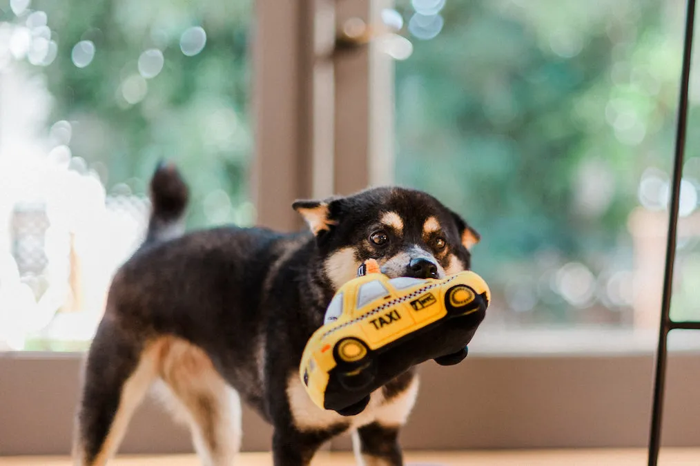 Canine Commute Toy Set