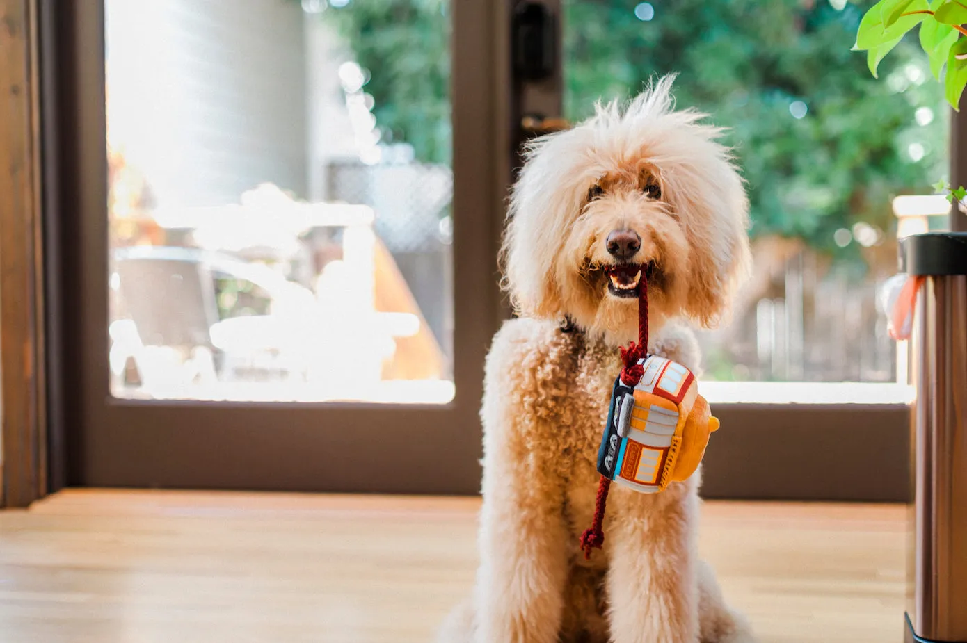 Canine Commute Toy Set