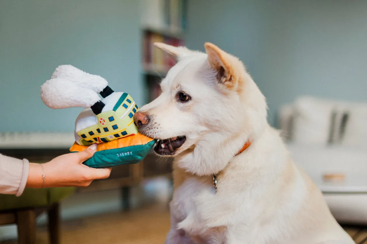 Canine Commute Toy Set