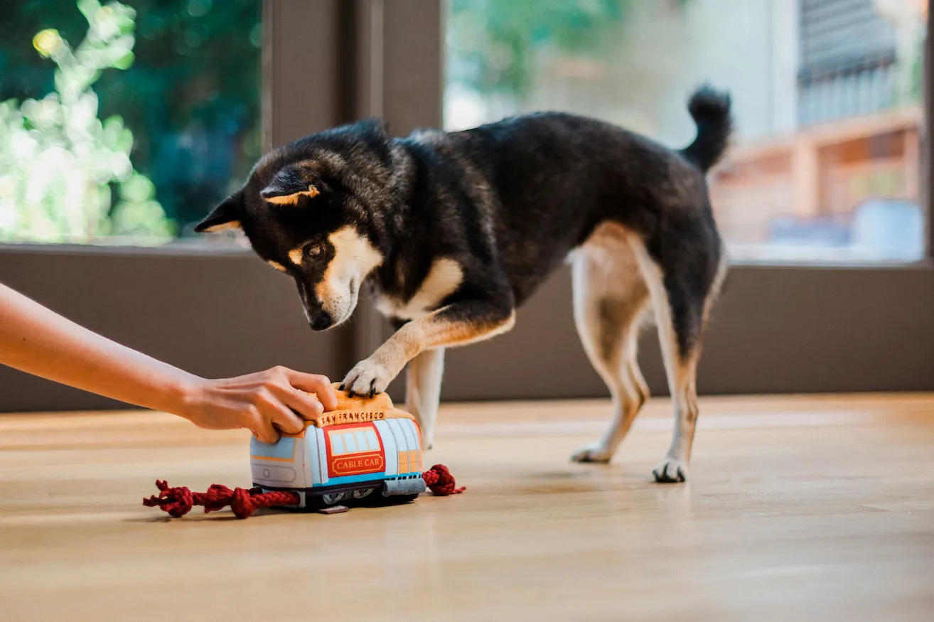 Canine Commute Toy Set