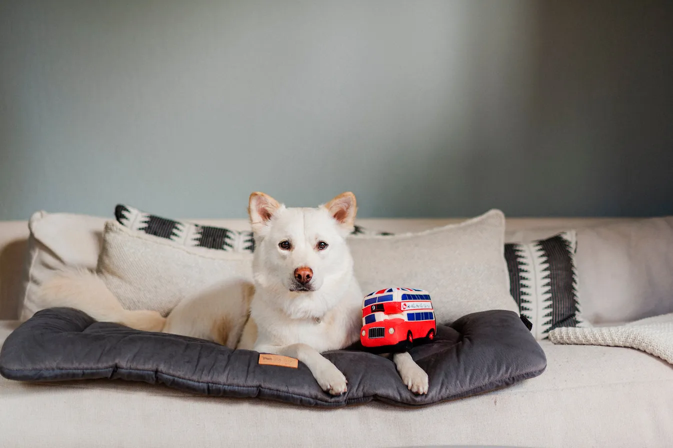 Canine Commute Toy Set