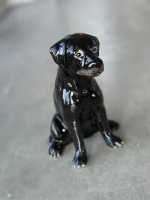 Ceramic Money Box | Black Labrador