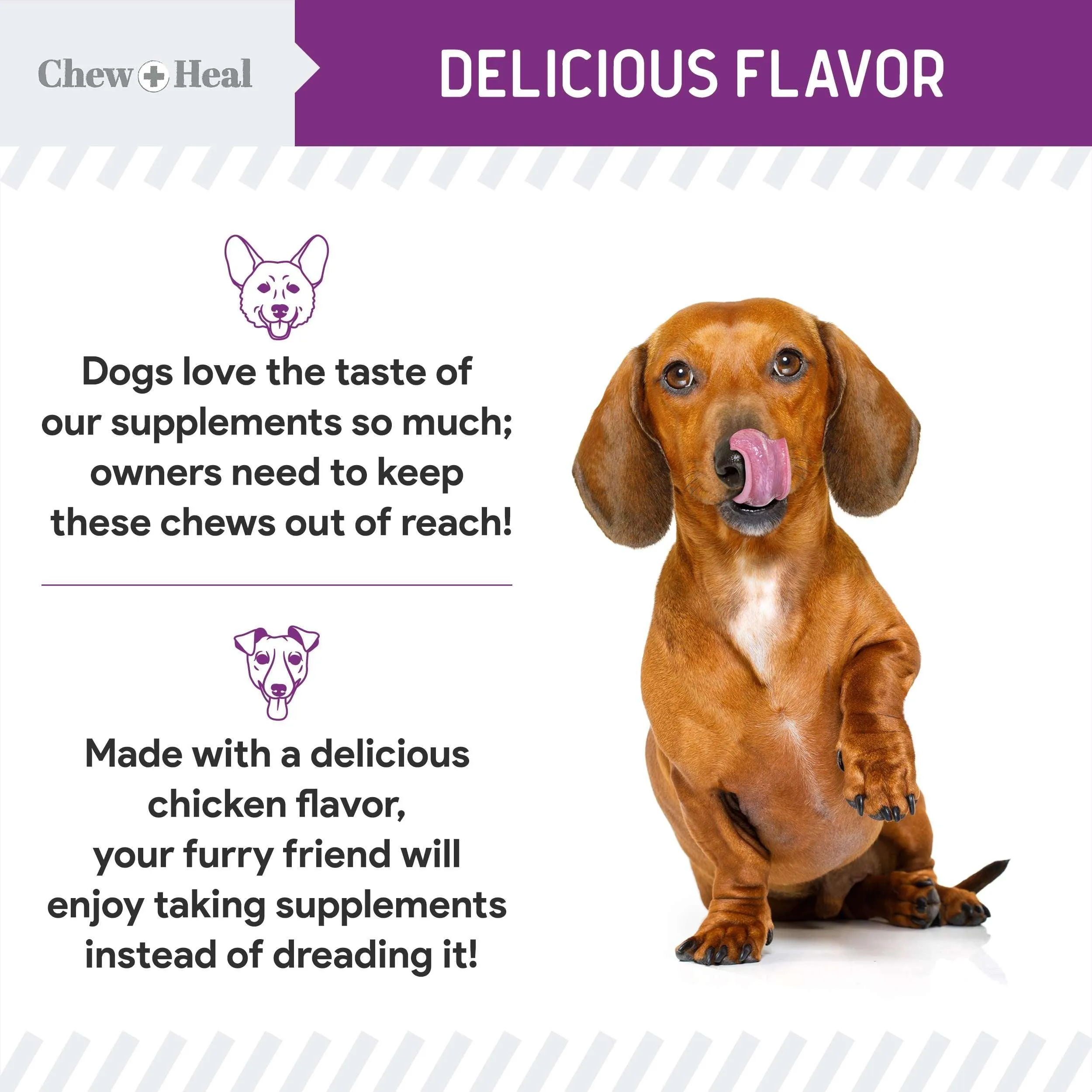 Chew   Heal No Scoot for Dogs - for Healthy Anal Gland Function