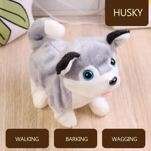 Fun & Cute New Pet Dog Toys