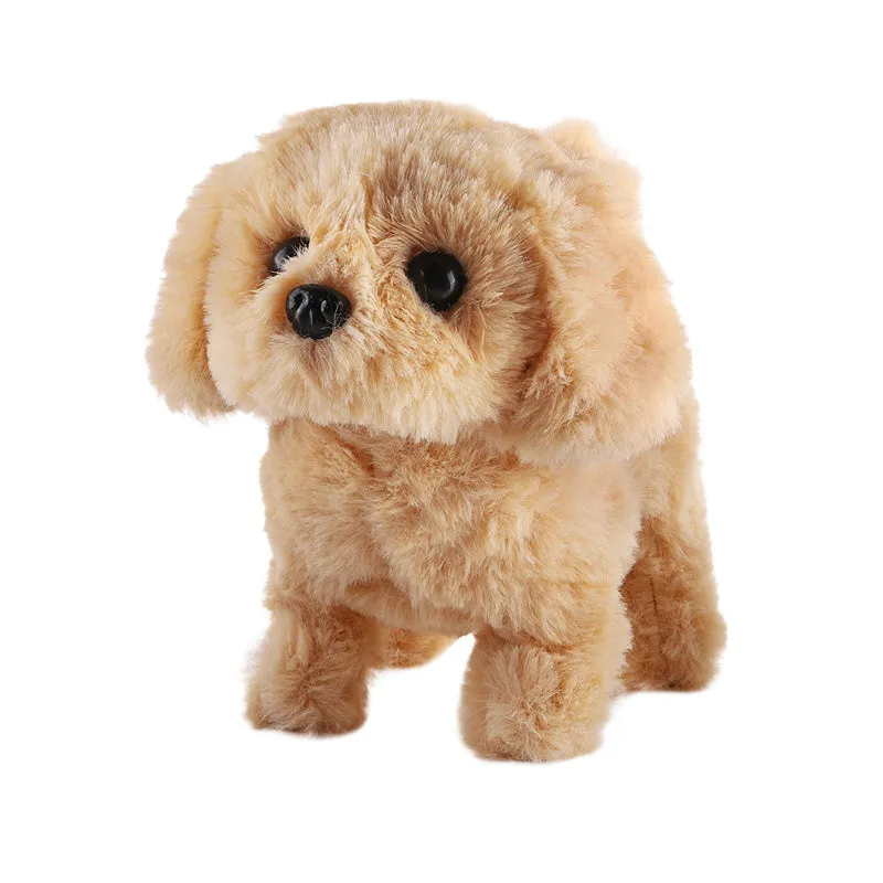 Fun & Cute New Pet Dog Toys