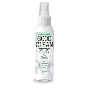 Good Clean Fun Spray Toy Cleaner Eucalyptus