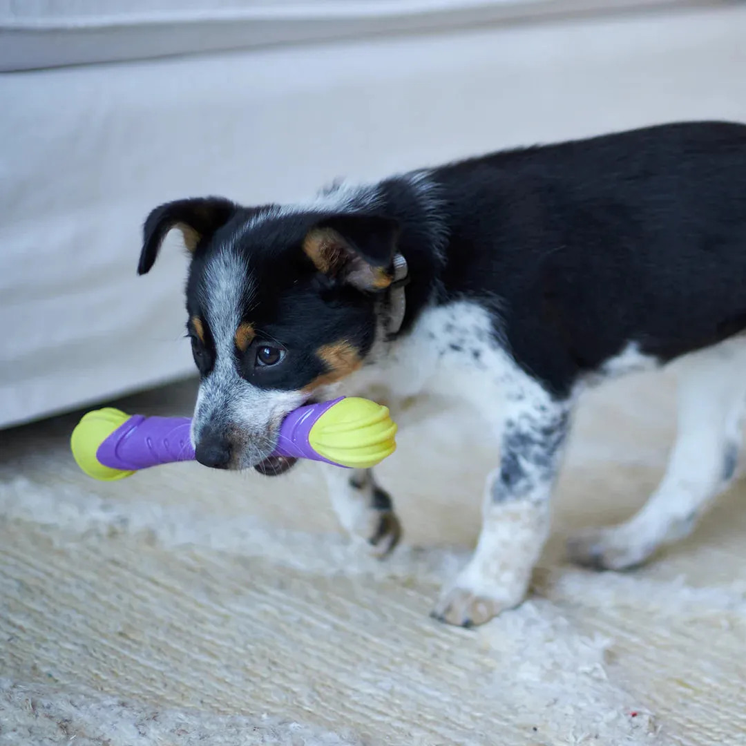 Kazoo Extreme Play Chew Stick Dog Toy Medium