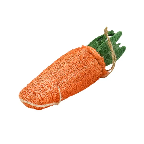 Loofah Carrot Dental Toy