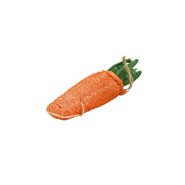 Loofah Carrot Dental Toy