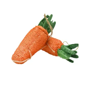 Loofah Carrot Dental Toy