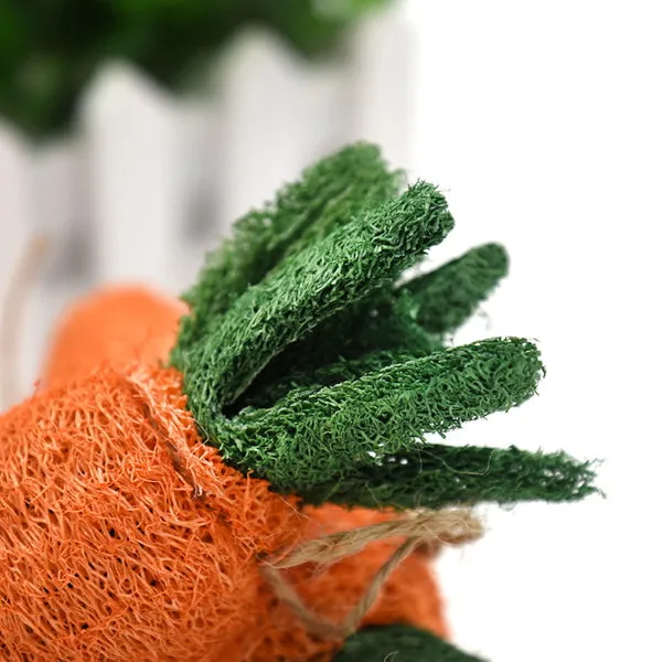 Loofah Carrot Dental Toy