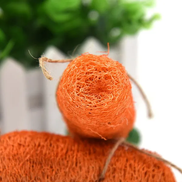 Loofah Carrot Dental Toy