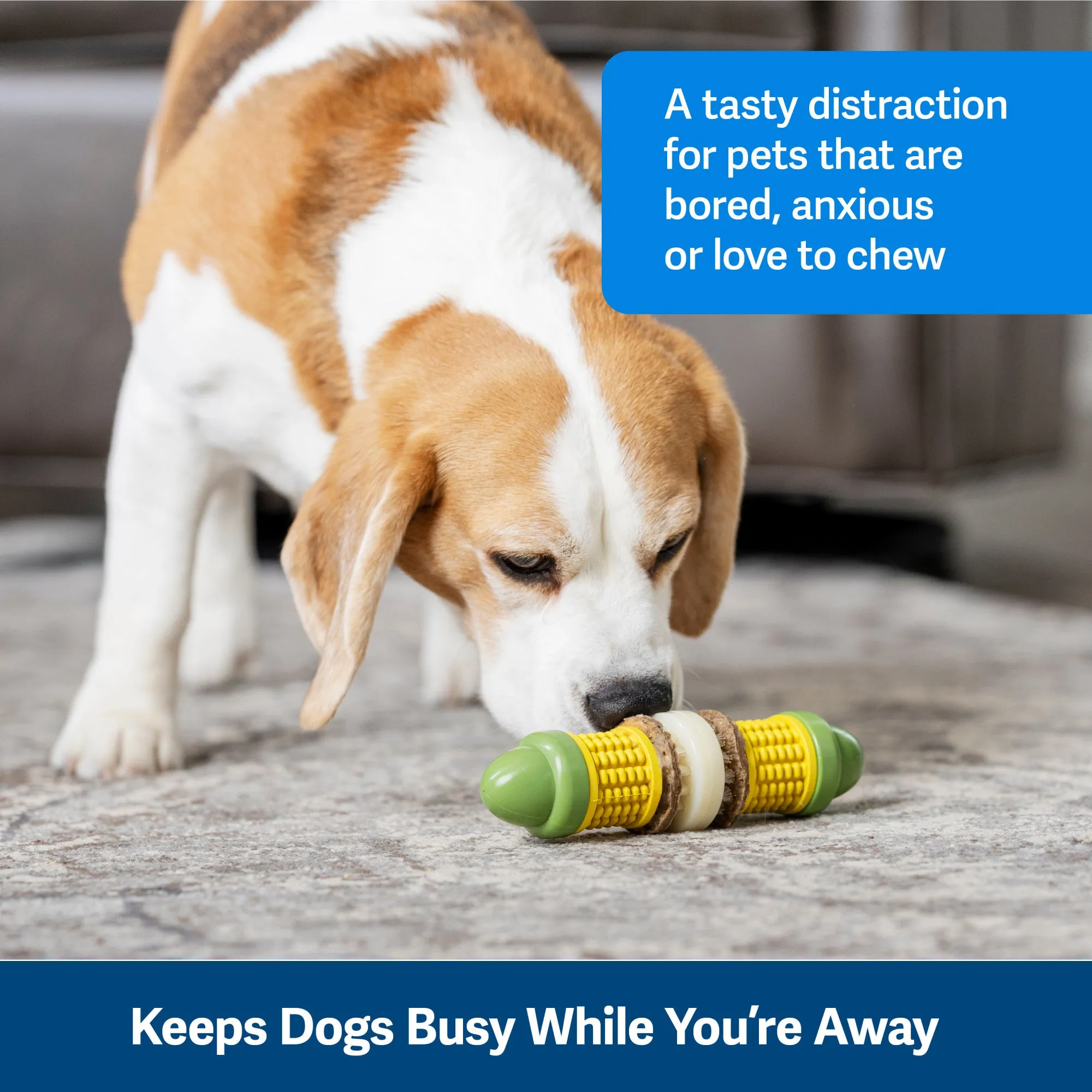 PetSafe Busy Buddy Cravin’ Corncob Dog Toy