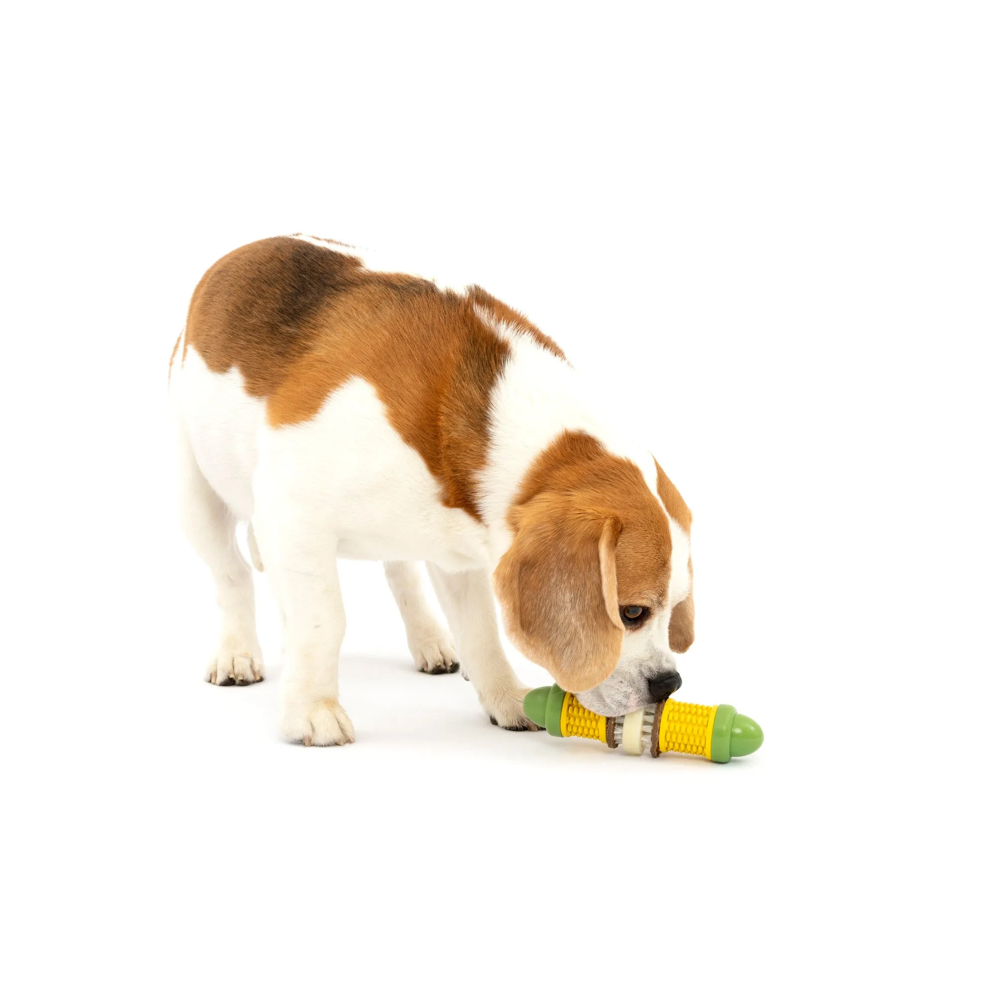 PetSafe Busy Buddy Cravin’ Corncob Dog Toy