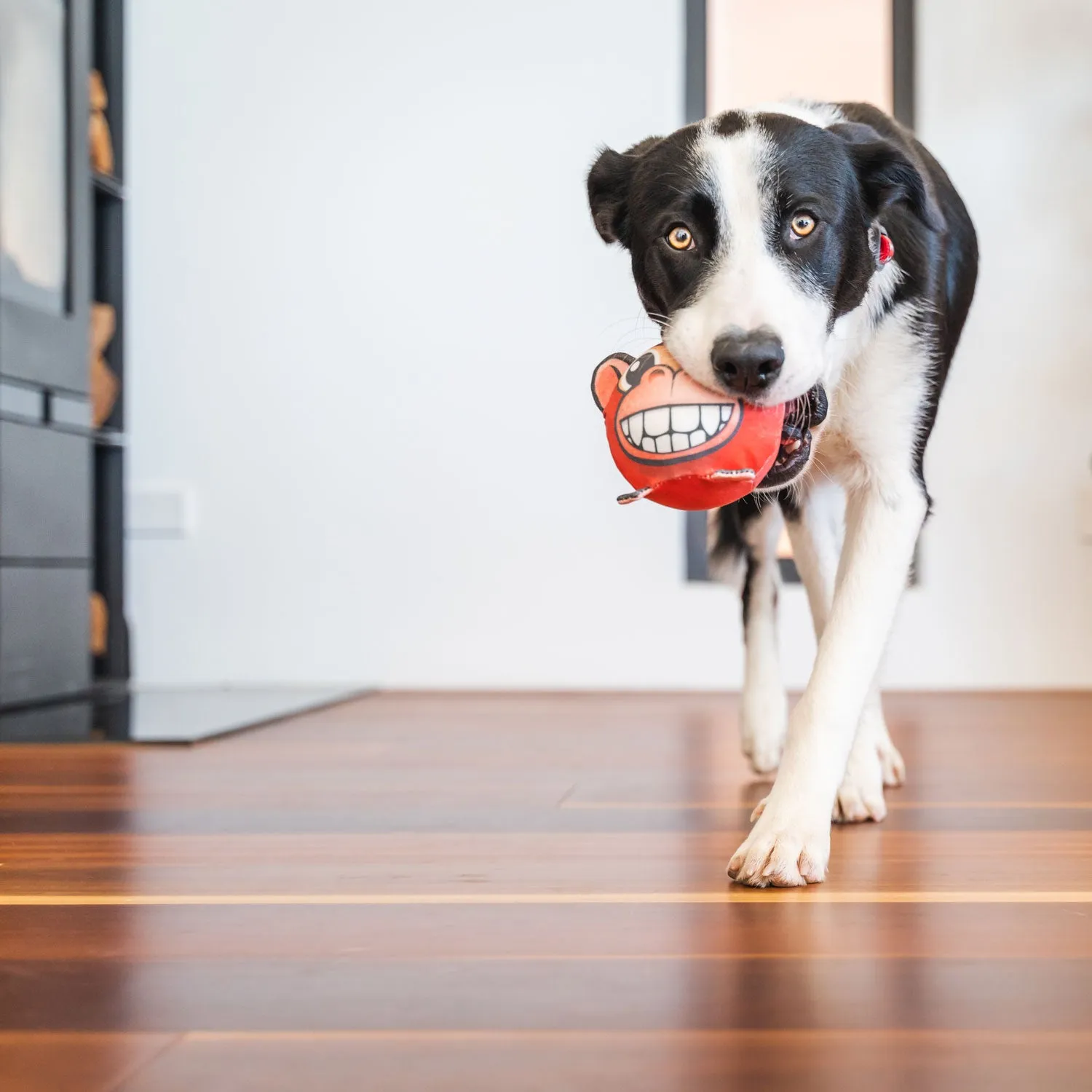 Red Dingo Marley the Monkey Durables Ball