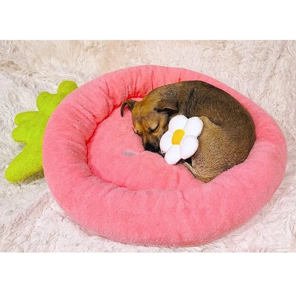 Strawberry Dog Bed With Daisy Dog Plush Toy