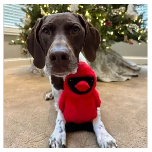 Tall Tails 11" Animated Cardinal Dog Toy