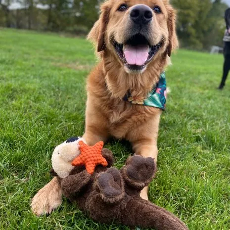 Tall Tails Otter Rope Body Tug Toy for Dogs