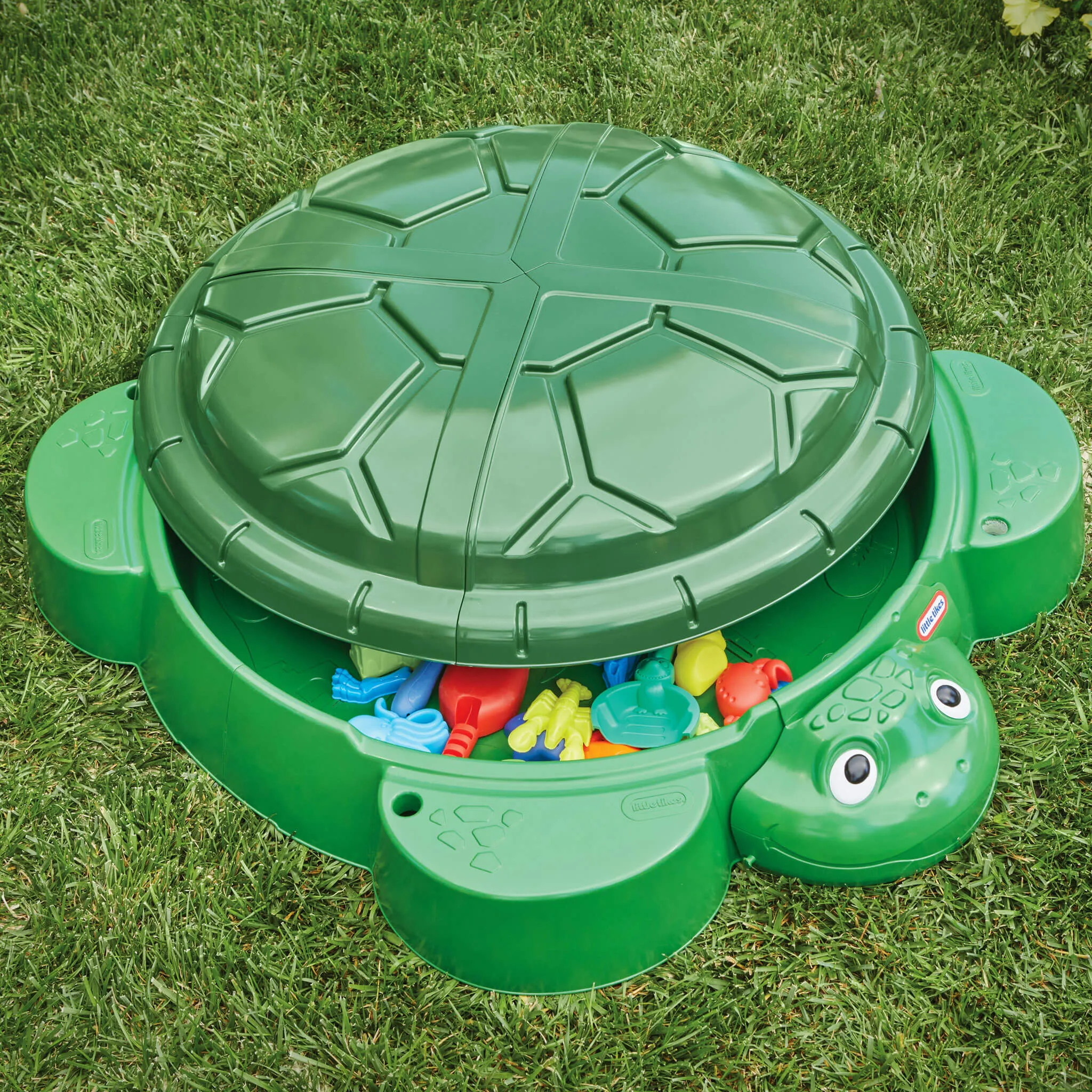 Turtle Sandbox