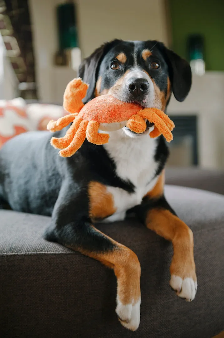 Under the Sea Plush Toy Set